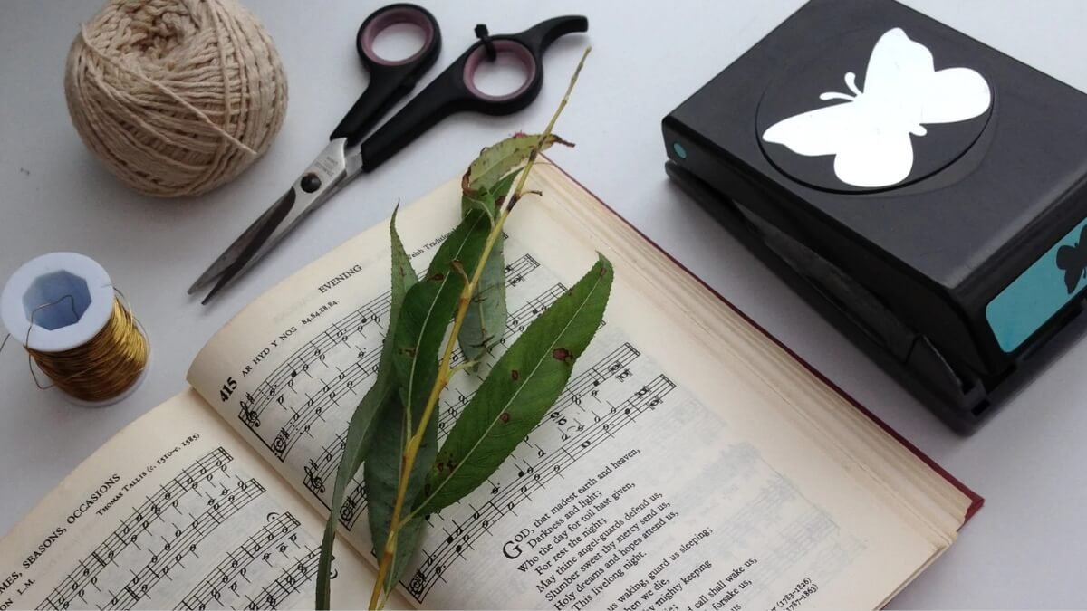 atividades extracurriculares