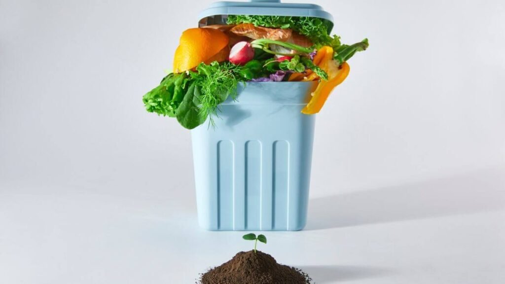 Benefícios e vantagens do setor alimentício moderno