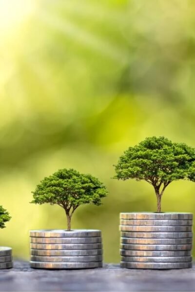 Guia completo: Ideias de renda extra online